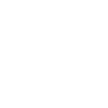 Silvia Radulova - Stunt Rider