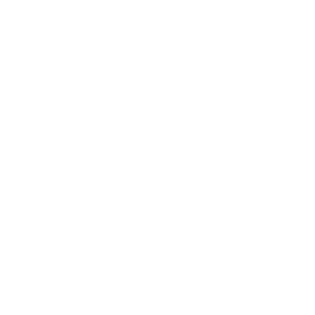 Silvia Radulova - Traveller