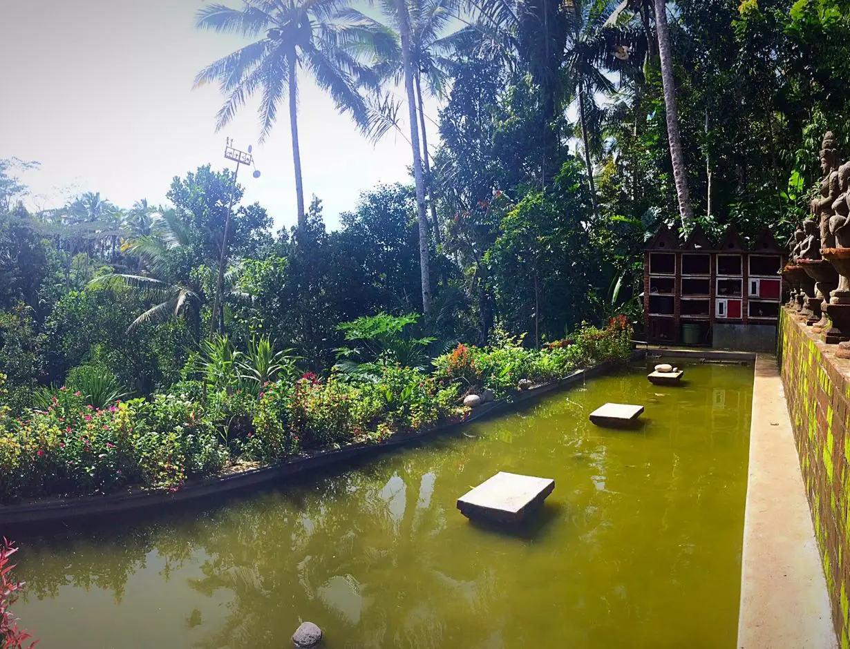 Silvia Radulova :: Travels :: Bali