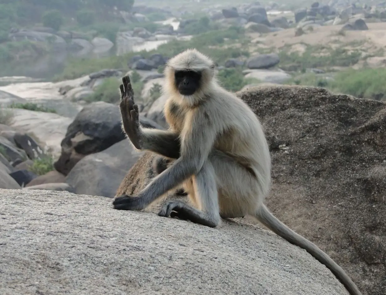 Silvia Radulova :: Travels :: india