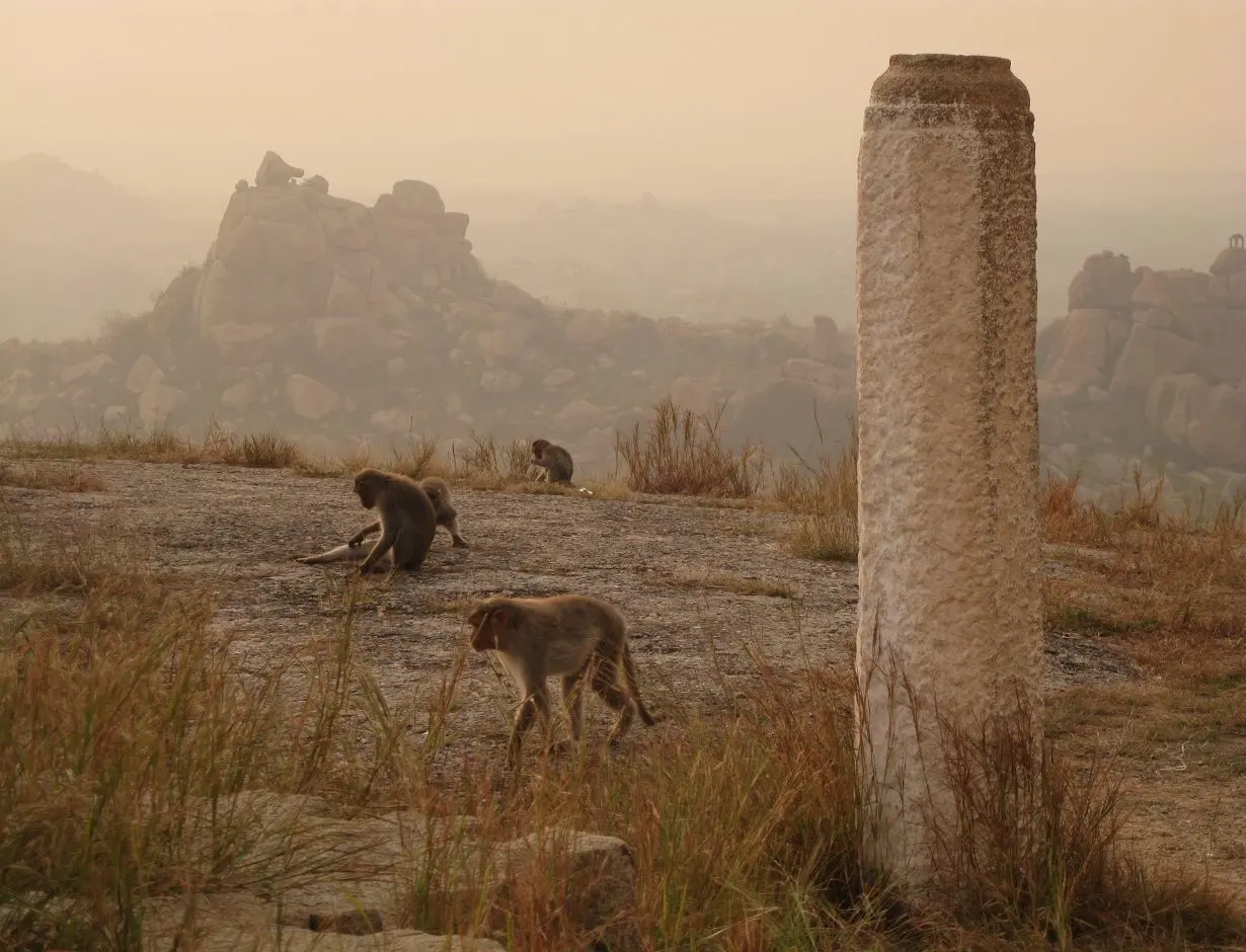 Silvia Radulova :: Travels :: india