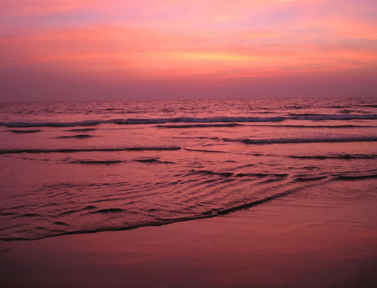 Silvia Radulova :: Travels :: india